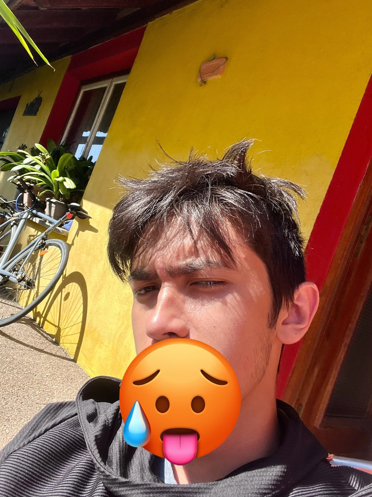 Profil de Courte, 22 ans, Gay cruising à Stels