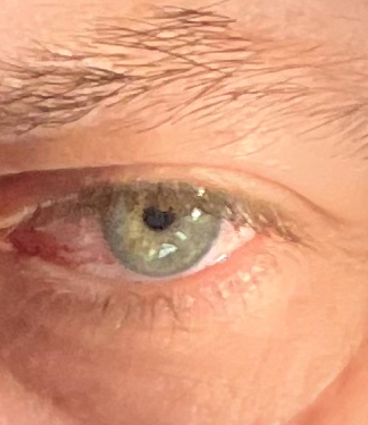 Profil de Costantino, 49 ans, Gay cruising à Ebnet
